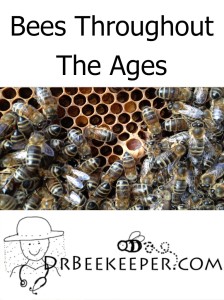 Bees Throughout The Ages-bee history
