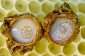 Royal jelly - Superfoods