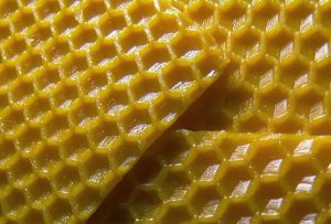 Beeswax - Superfoods