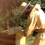 Spending time with the bees!