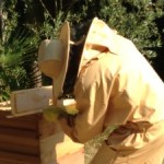 drbeekeeper-beekeeping