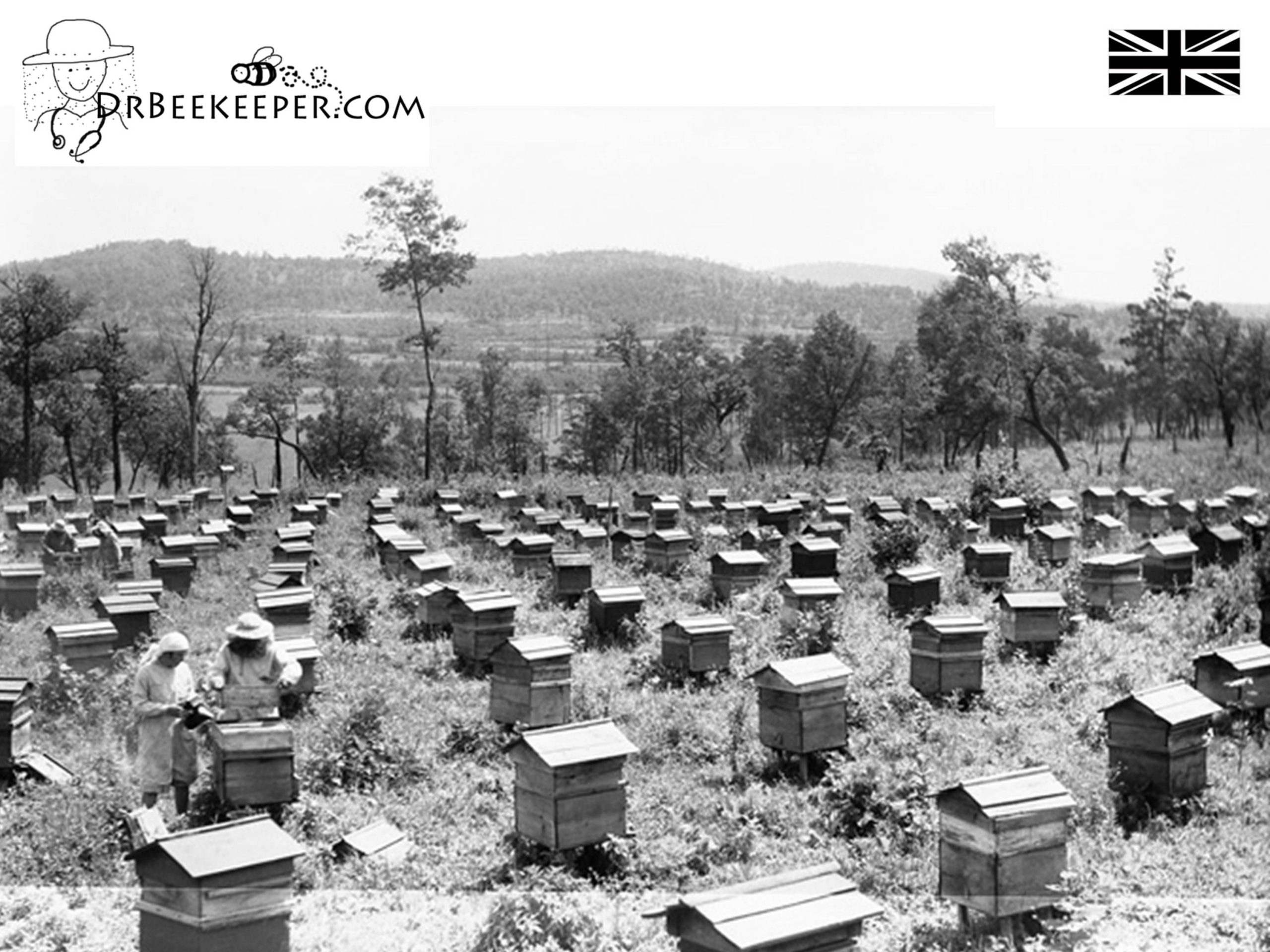 DrBeekeeper British Bee Hives
